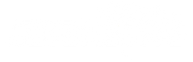 Enemy Automotive