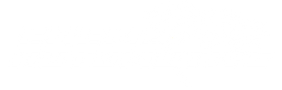 Enemy Automotive