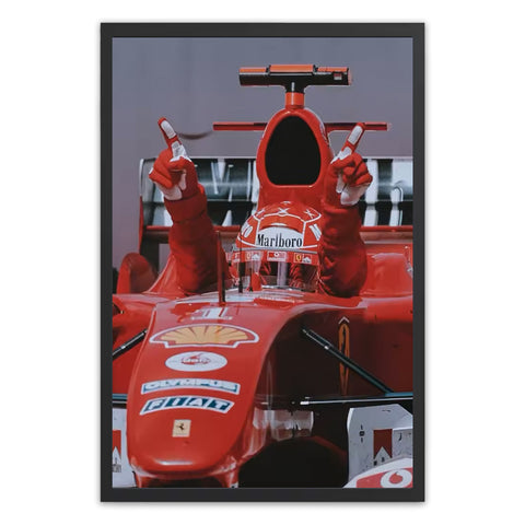 Michael Schumacher F1 Poster
